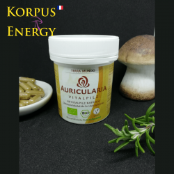 Auricularia - Korpus Energy France