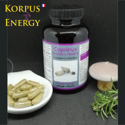 Coprinus - Korpus Energy France