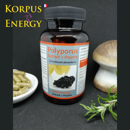 Polyporus Korpus Energy France