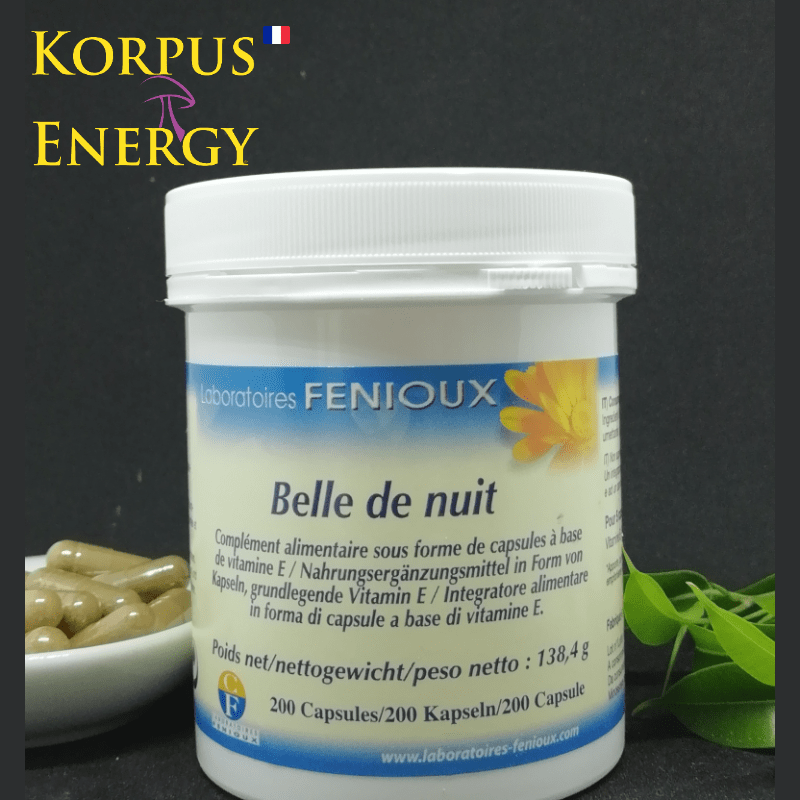 Belle de nuit - Korpus Energy France