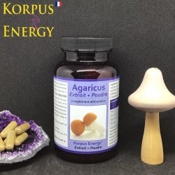 Agaricus Korpus Energy France