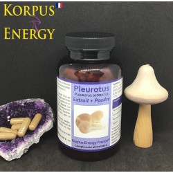 Pleurotus Korpus Energy France Mycothérapie