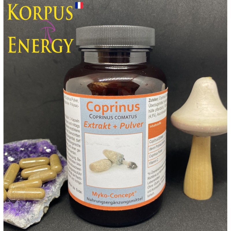 Coprinus Korpus Energy
