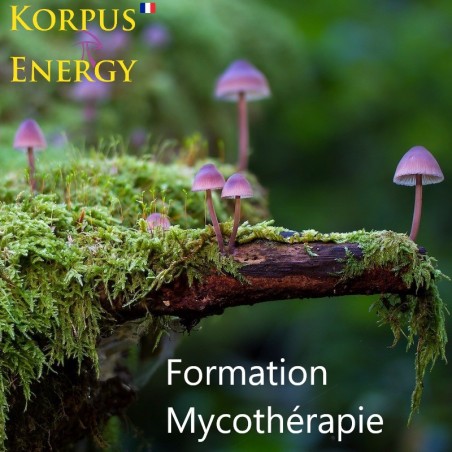 Formation Mycothérapie Korpus Energy France