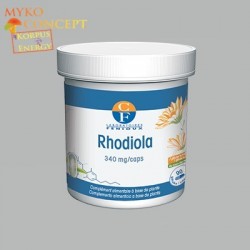 Rhodiola Korpus Energy
