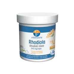 Rhodiola Fenioux Korpus Energy