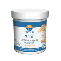 Maca Fenioux Korpus Energy