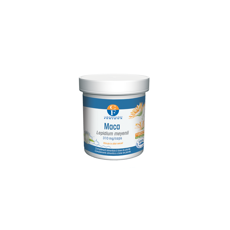 Maca Fenioux Korpus Energy Maca Fenioux Korpus Energy