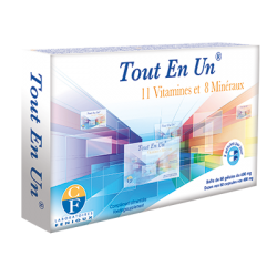 Tout en un Fenioux Korpus Energy France