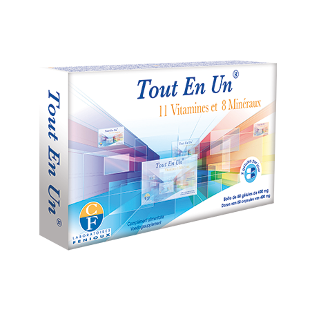 Tout en un Fenioux Korpus Energy France