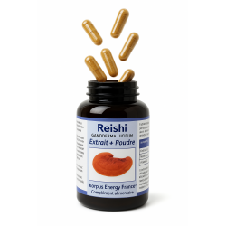 Reishi - 120 capsules